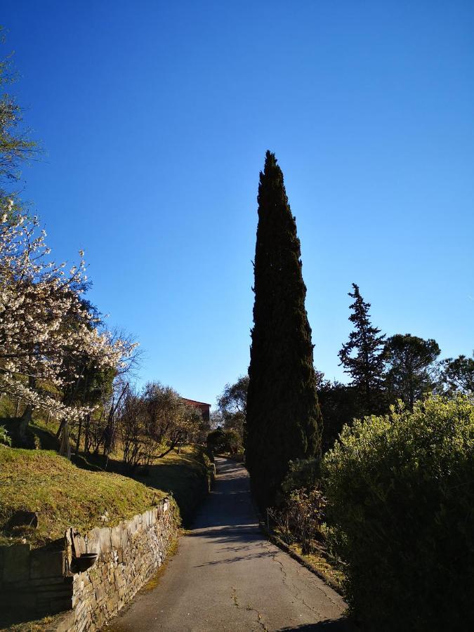 La Vivagna - Casa Vista Mare Tra Gli Ulivi Βίλα Leivi Εξωτερικό φωτογραφία