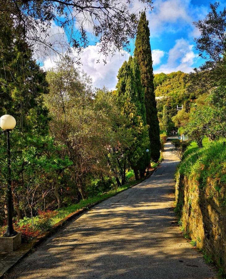 La Vivagna - Casa Vista Mare Tra Gli Ulivi Βίλα Leivi Εξωτερικό φωτογραφία